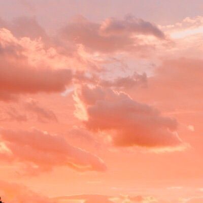 two giraffes are standing in the grass under a cloudy sky at sunset