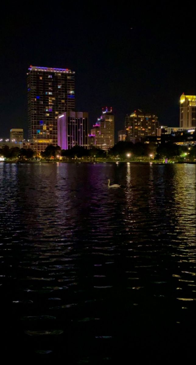 the city skyline is lit up at night with lights reflecting in the water and ducks swimming on the lake