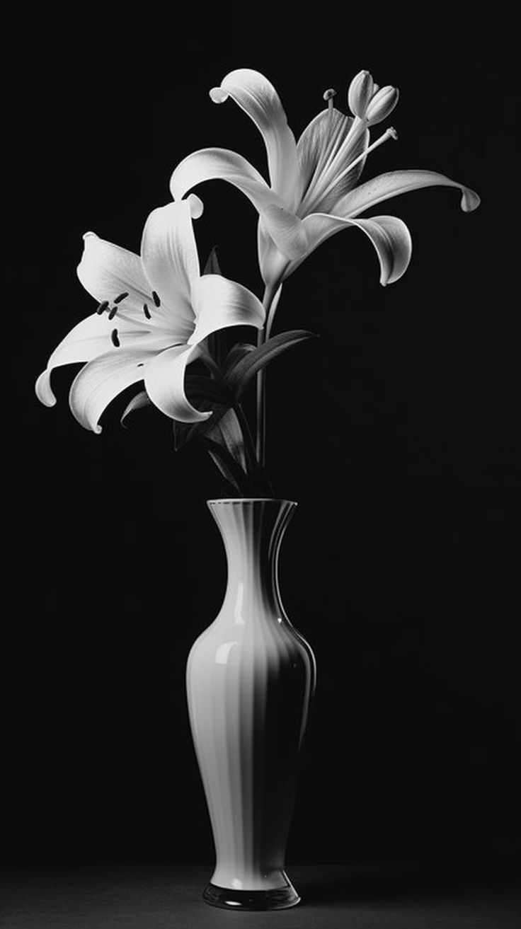 a black and white photo of flowers in a vase on a dark background, with only one flower visible