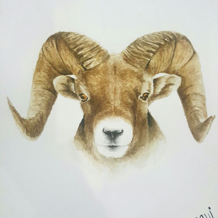 a painting of a ram with large horns