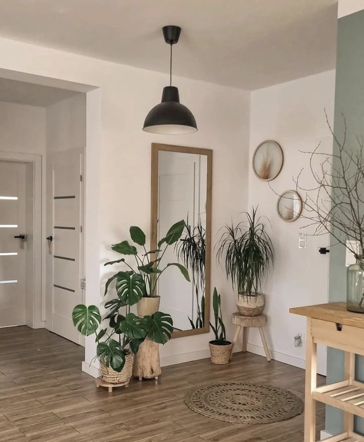 a living room filled with lots of plants on top of hard wood flooring next to a doorway