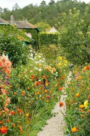 a garden filled with lots of colorful flowers