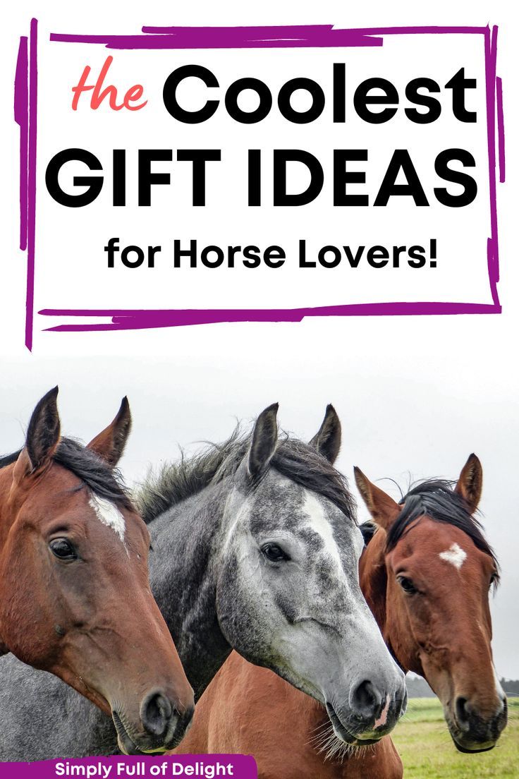 three horses standing next to each other in a field with the words coolest gift ideas for horse lovers