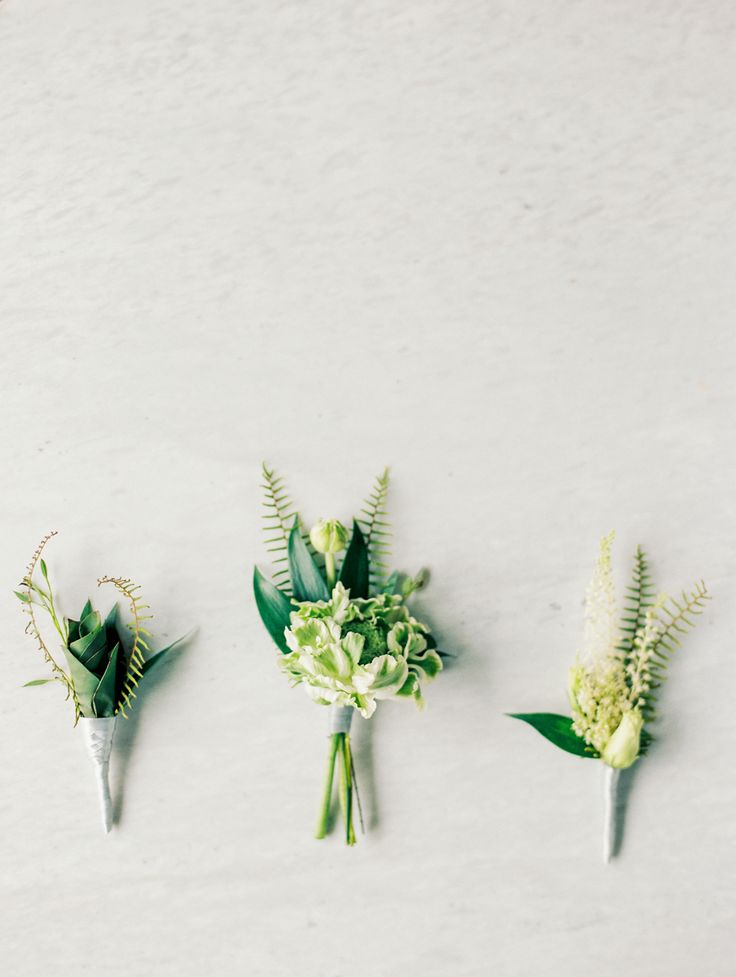 three different types of flowers on a white surface with green leaves and stems in the middle