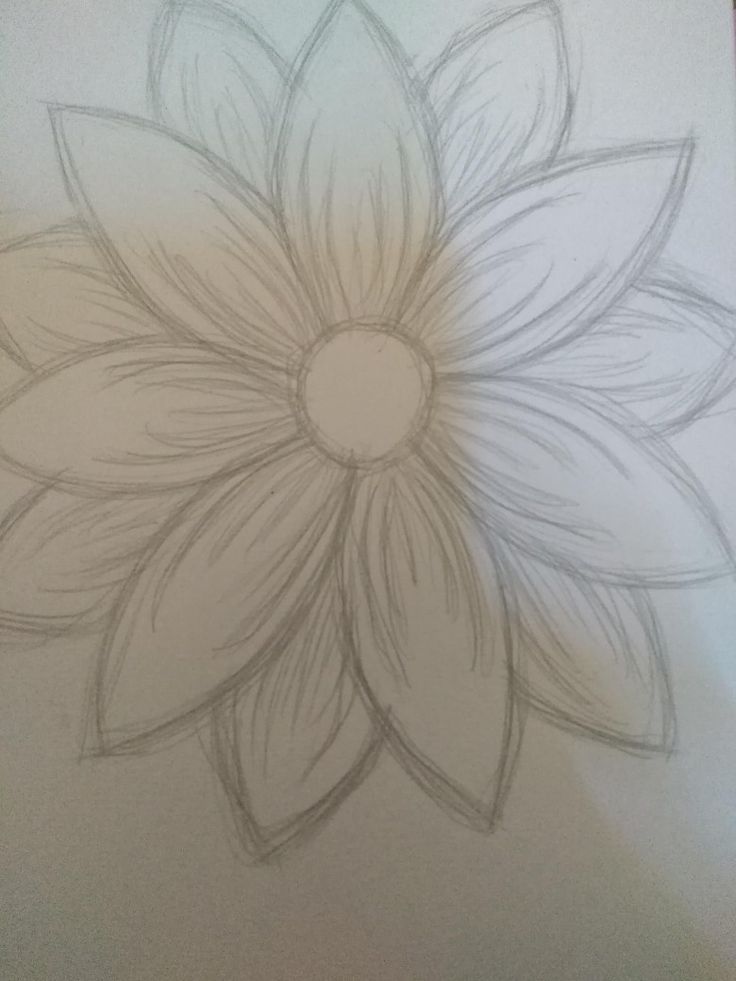 a drawing of a flower on paper