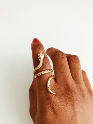 Cowrie Shell Jewelry, Snake Shedding, African Dolls, Wrap Ring, Life Force, Snake Ring, Shell Jewelry, Cowrie Shell, Wrap Rings