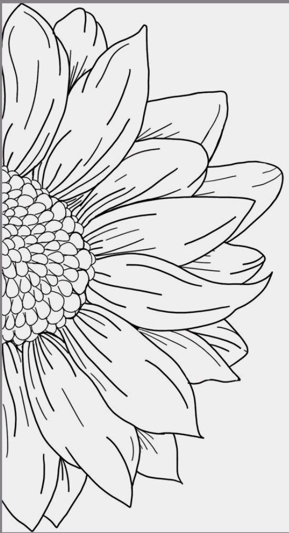 a sunflower is shown in this black and white photo, with the outlines on it