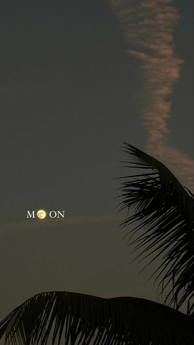 the moon is seen through some clouds in the night sky with palm tree branches below