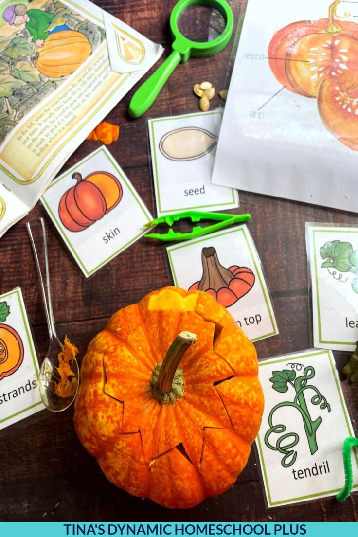 an orange pumpkin surrounded by cut out pictures and scissors on a table with other items