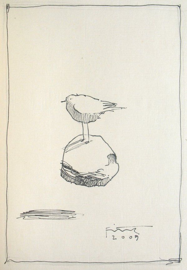 a drawing of a bird sitting on top of a rock