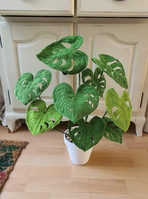 a potted plant sitting on top of a wooden floor next to a white dresser