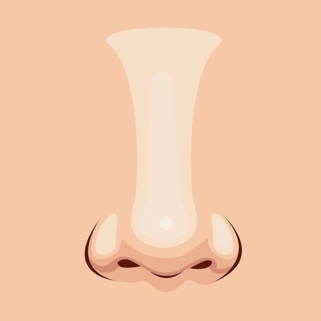 an illustration of a nose on a pink background