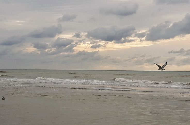 a bird is flying over the ocean on a cloudy day with clouds in the sky