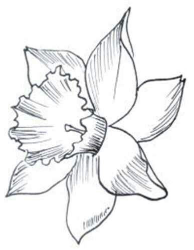 a drawing of a flower with leaves on it's side and the petals open