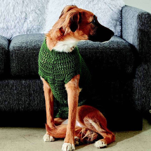 a dog wearing a green sweater sitting on the floor in front of a gray couch