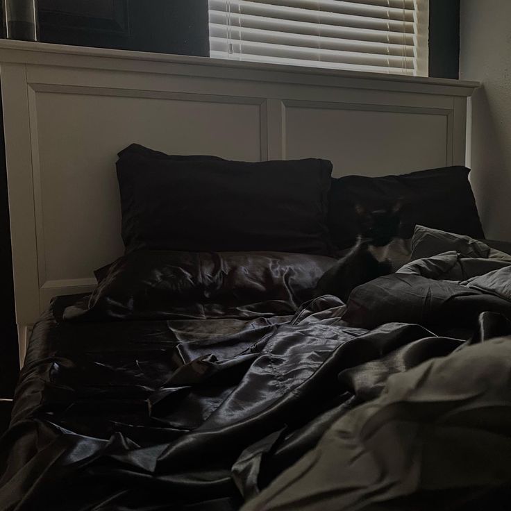 a cat laying on top of a bed under a window