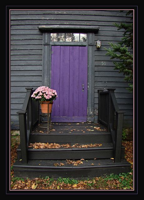 a purple door and some flowers on the steps