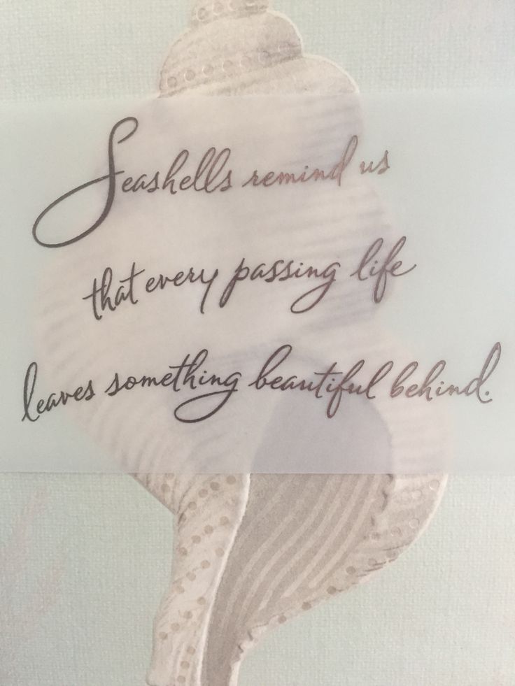 a piece of paper with words written on it and an image of a sea shell