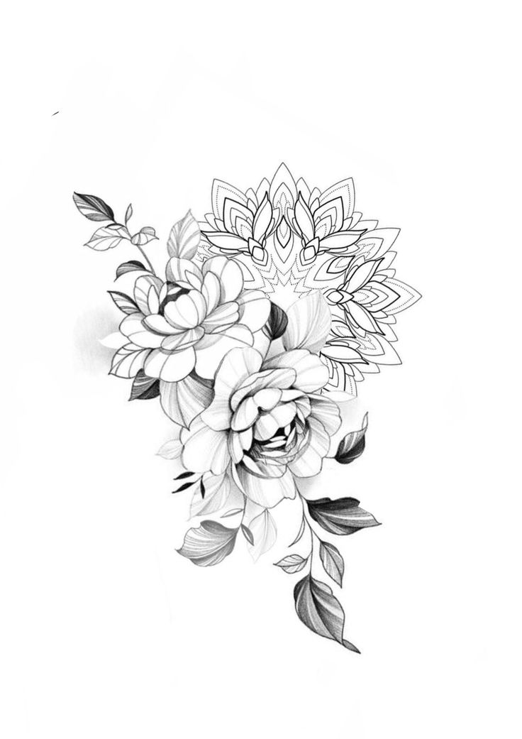 a black and white drawing of flowers with leaves on it's side, against a white background