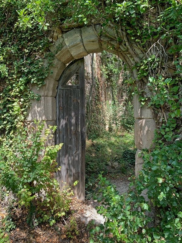 an old wooden gate surrounded by greenery