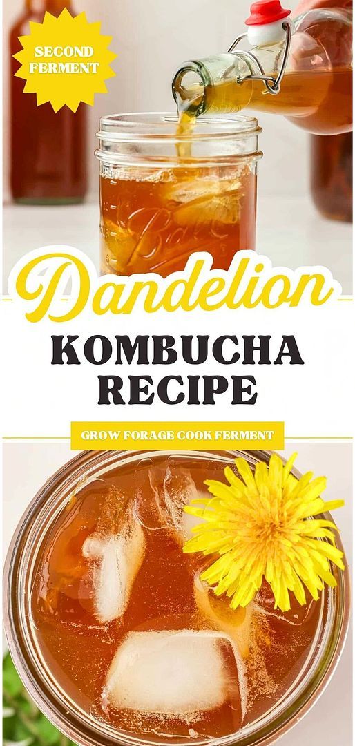 the recipe for dandelion kombucha is shown