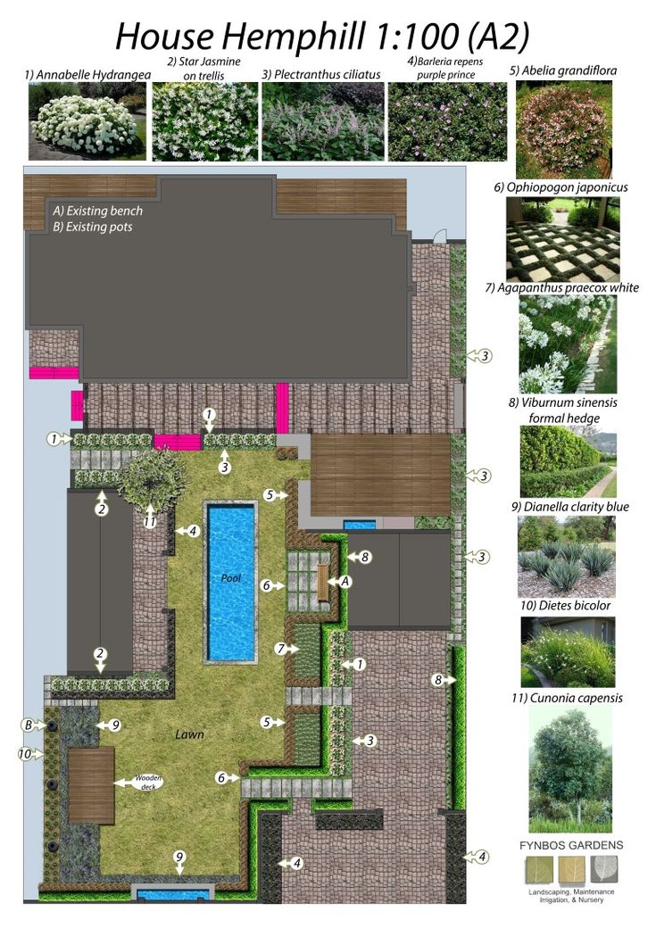 an overview of the house's garden design