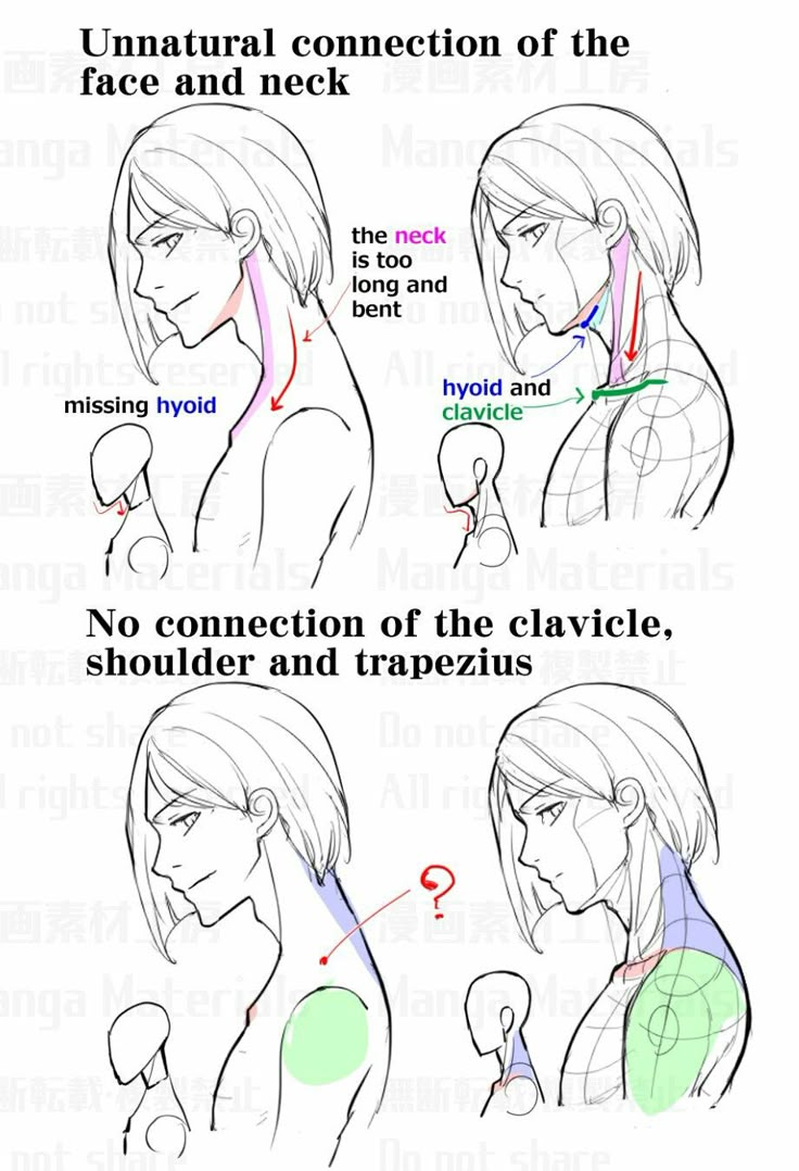 an anime character's head and neck with different facial expressions, including the upper half of