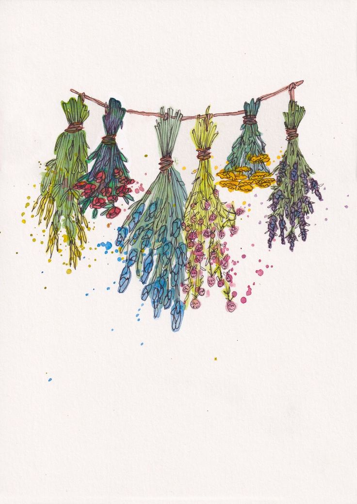 an artistic drawing of flowers hanging on a clothes line