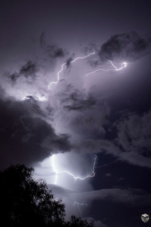 lightning strikes through the dark clouds above trees