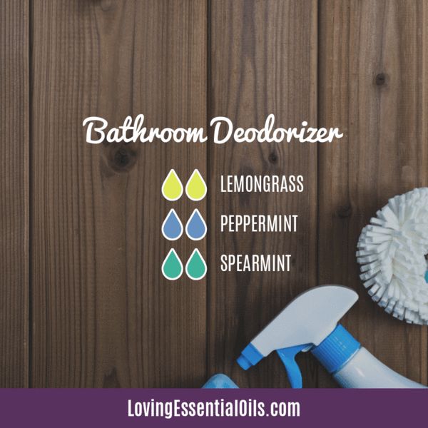 Diffuser Blends For Air Purification, Bathroom Deodorizer Essential Oils, Healing Essential Oils Diffuser Blends, Diffuser Blends For Bathroom, Bathroom Oil Diffuser Blends, Spearmint Essential Oil Blends, Essential Oils To Clean The Air Of Germs, Bathroom Essential Oil Blends, Purification Diffuser Blend