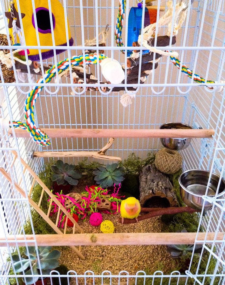 a white bird cage filled with lots of plants