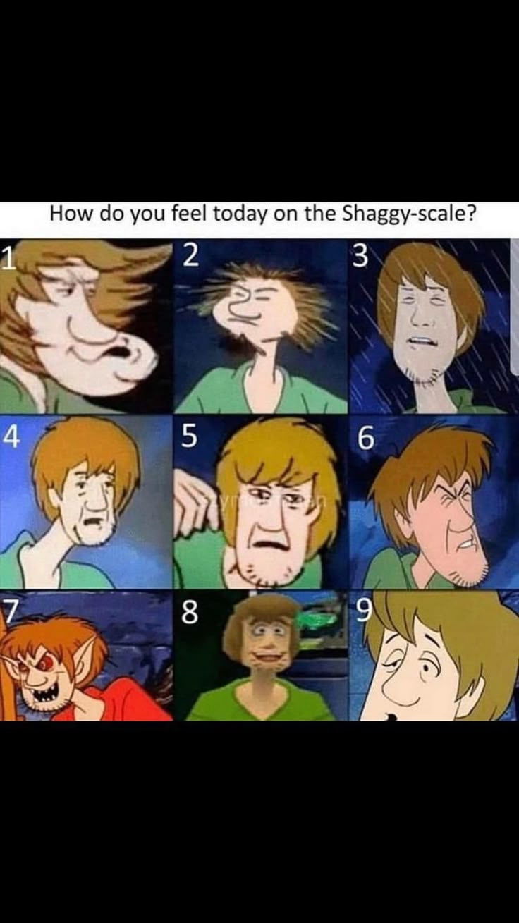 the many faces of shaggy - haired cartoon characters in various poses, with caption that reads how do you feel today on the shaggy - headed?