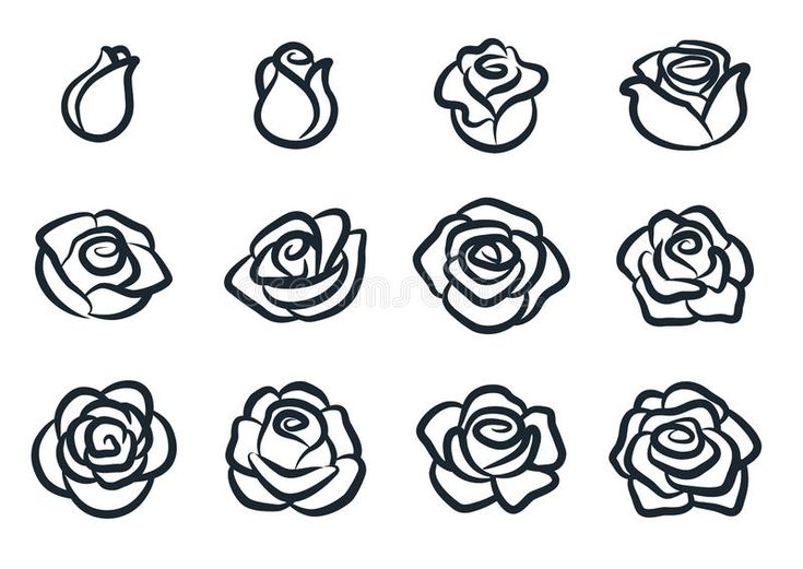 black and white rose flower icons set, simple line art style design for logo or emblem