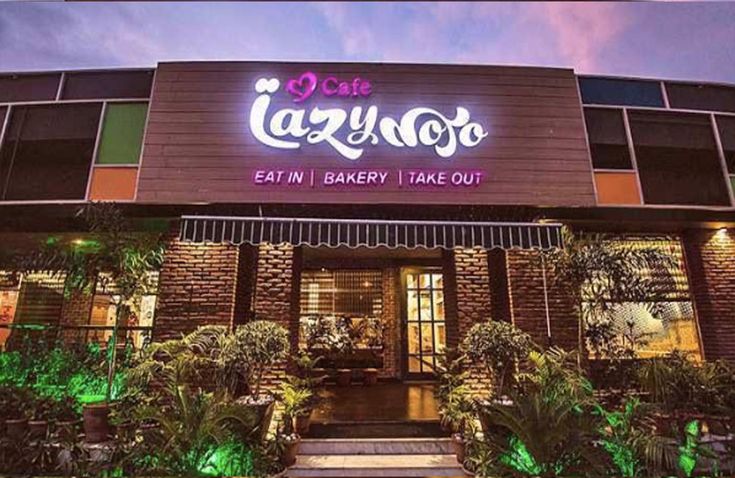 the front entrance to lazy dog bakery, which is lit up at night with green plants