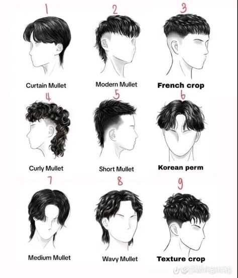 Hair Types Male, Male Haircuts For Curly Hair, Guys Haircuts Names, Fluffy Hair Cuts For Boys, Short Hair Male Haircuts, Names Of Haircuts Men, Short Hairstyles For Trans Men, Hairstyles Names Mens, School Photos Hair