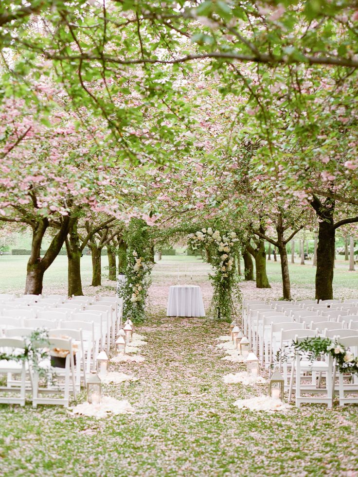 an outdoor ceremony set up with white chairs and flowers on the trees in the background