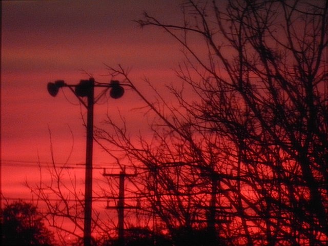 the sun is setting over some trees and street lights in front of a red sky