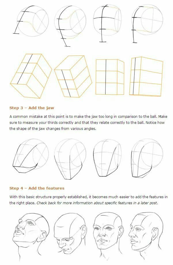 how to draw the face and head in perspective with this step - by - step guide