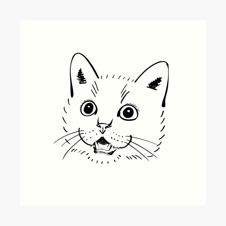 a black and white drawing of a cat's face