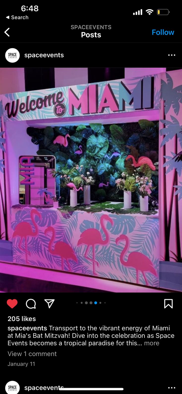 an image of a pink and blue display with flamingos on the front, and palm trees in the back