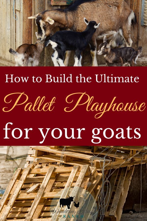 the ultimate guide to how to build the ultimate pallet playhouse for your goat family