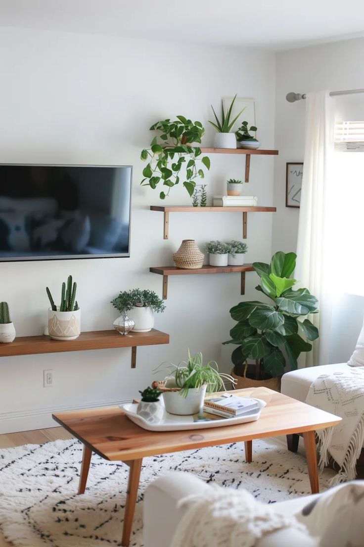 a living room with plants on the shelves and a flat screen tv in the corner