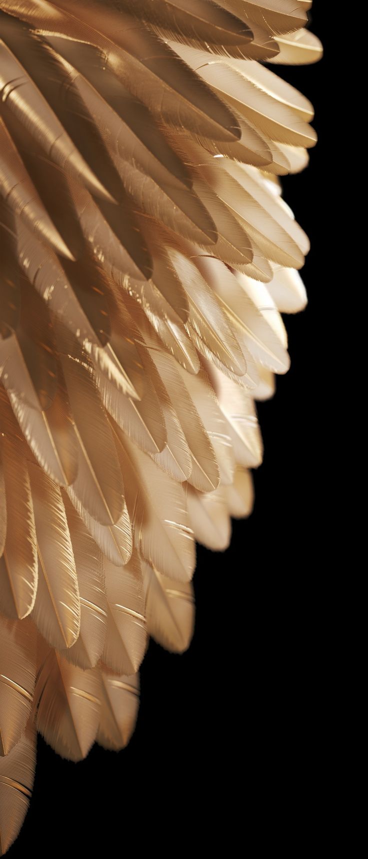 a close up view of a feathered object on a black background in the dark