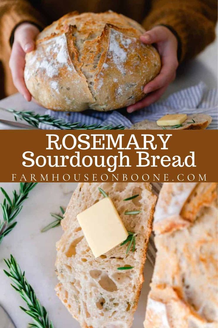 rosemary sourdough bread on a plate with butter and parmesan cheese in the middle