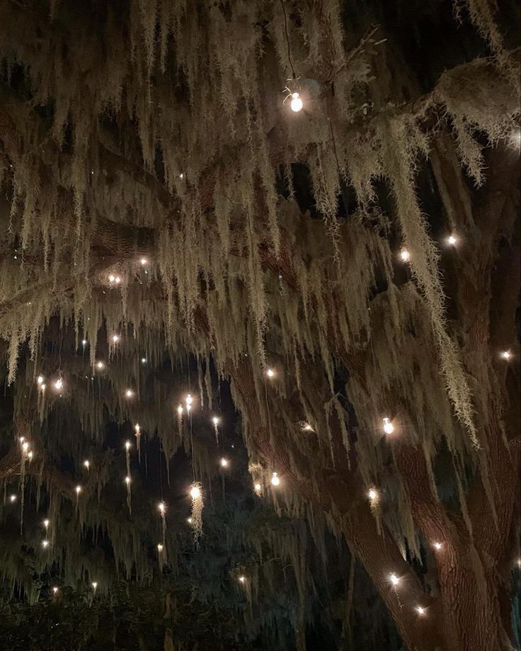 a large tree covered in lots of lights and hanging from it's branches at night