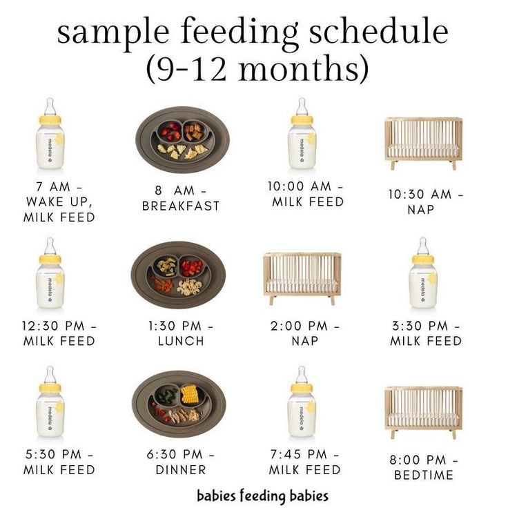 the baby feeding schedule is shown with food items and drinks on it's trays