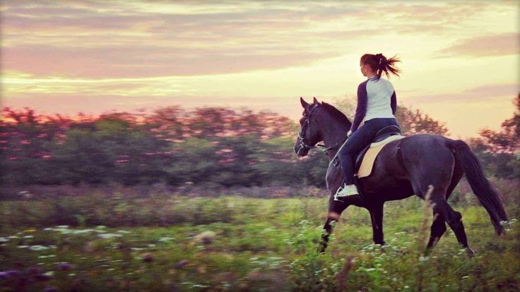 a woman riding on the back of a black horse through a lush green field at sunset