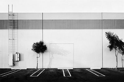 black and white photograph of an empty parking lot with three trees in the foreground