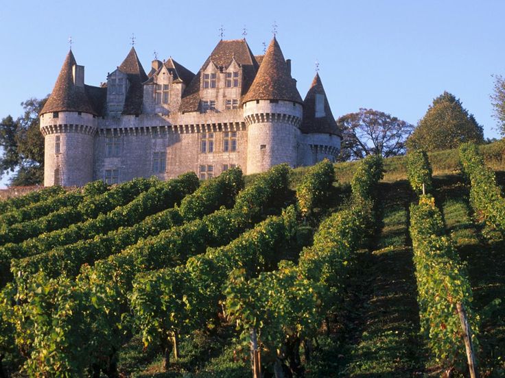 an old castle sitting on top of a hill surrounded by trees and bushes in front of it