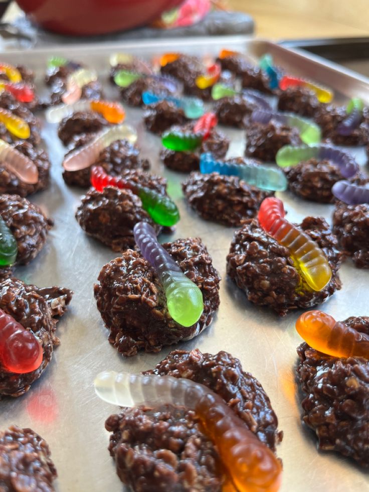 Miniature no-bake cookies with a gummy worm pressed into each cookie. Looks like “dirt” and worms. Fishing Snacks, Fishing Snack Ideas, Fishing Party Desserts, Fishers Of Men Snack Ideas, Fishing Theme Treats, Bible Themed Snacks, Breaker Rock Beach Vbs Snack Ideas, Fishing Themed Snacks Parties Food, Fishing Theme Party